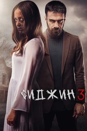 Сиджин 3