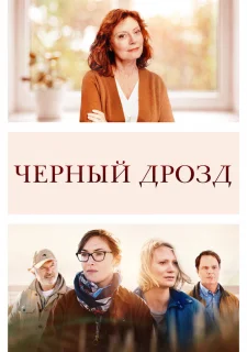 Чёрный дрозд